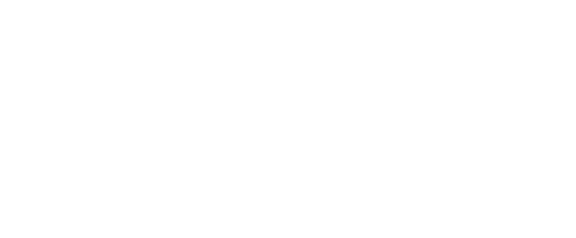 Ocean Village logo.