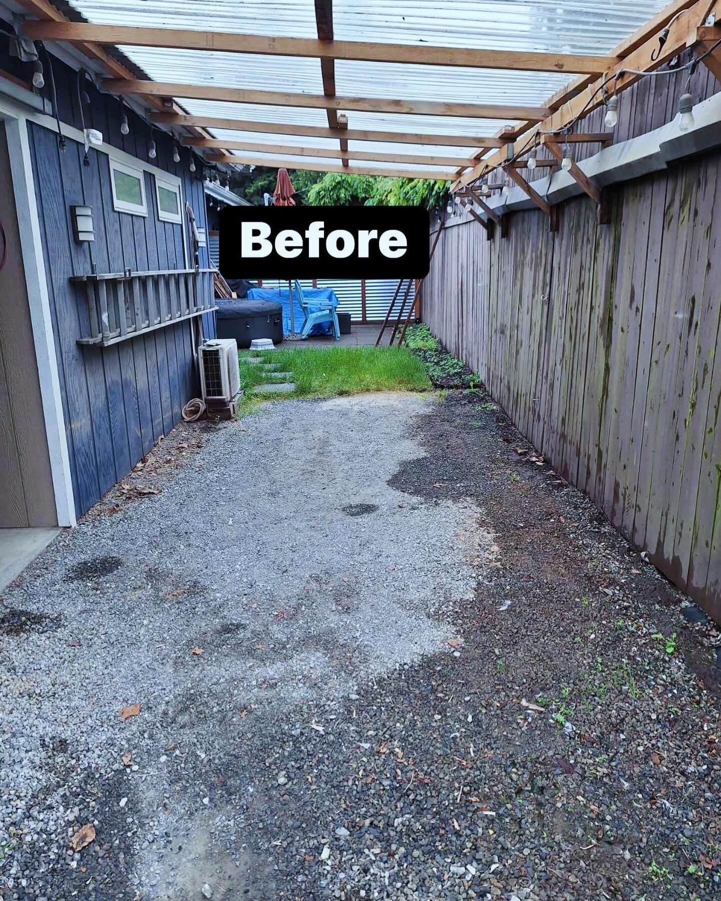 A picture of a brick walkway before being cleaned.| Everett, WA | JMS Concrete & Construction LLC