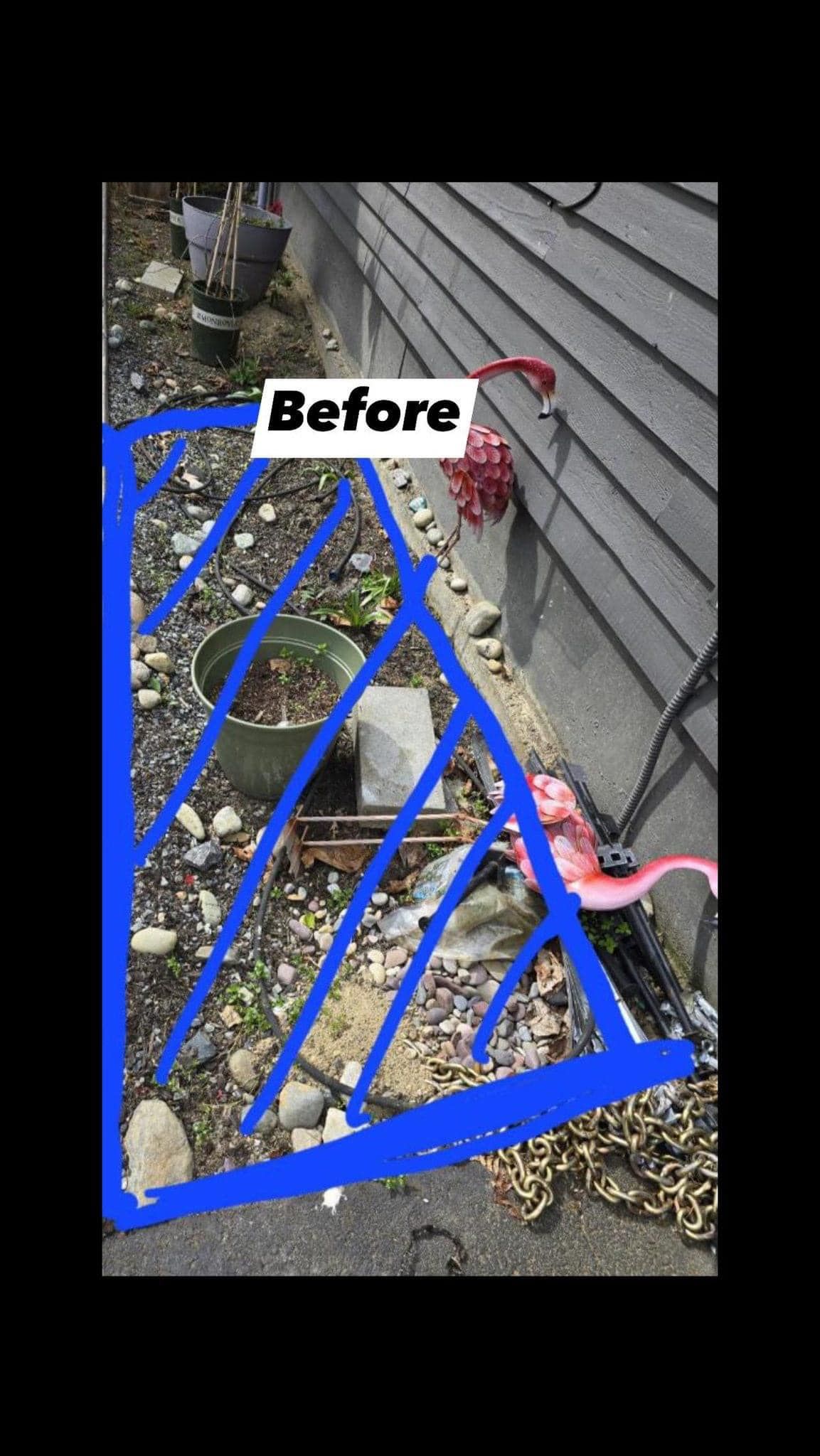A picture of a garden before and after being cleaned. | Everett, WA | JMS Concrete & Construction LLC