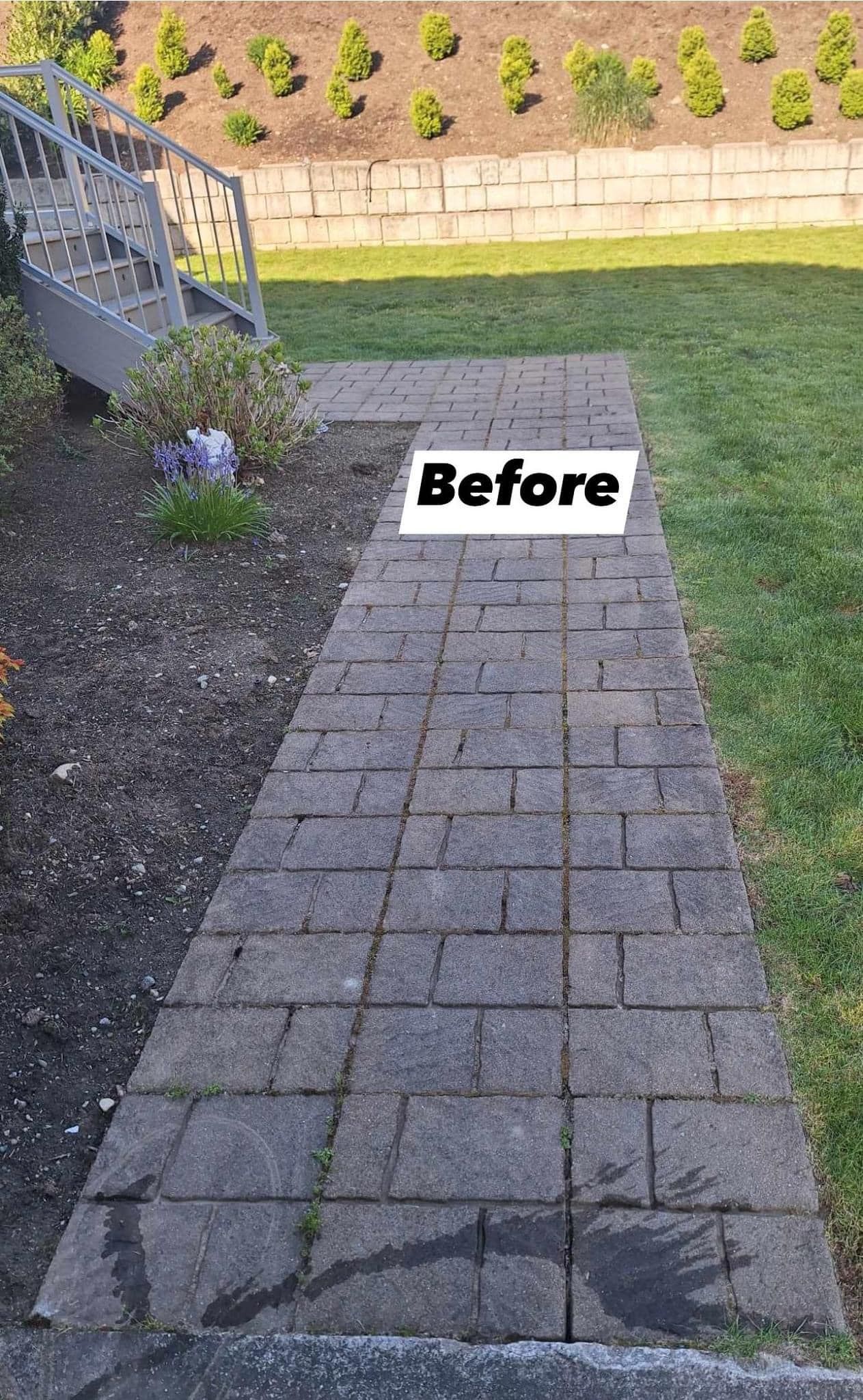 A picture of a brick walkway before being cleaned.| Everett, WA | JMS Concrete & Construction LLC