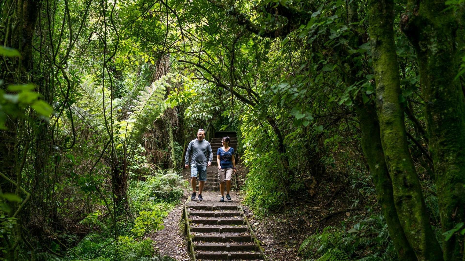 A man and a woman are walking down stairs in the woods.