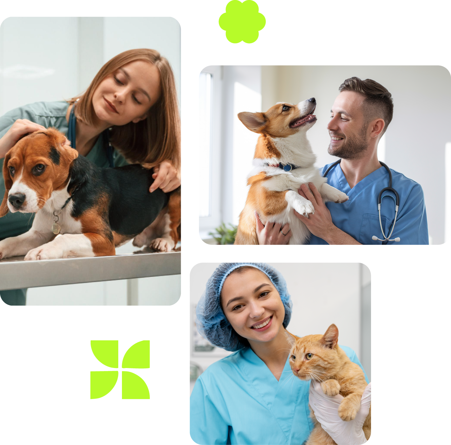 Pessoas com animais de estimação em uma clínica veterinária. 
