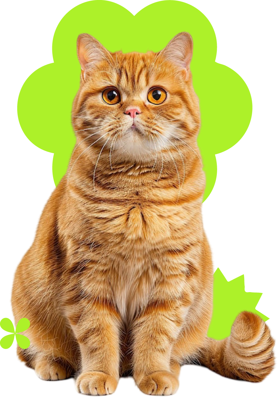 Gato malhado laranja sentado com detalhes florais verdes.