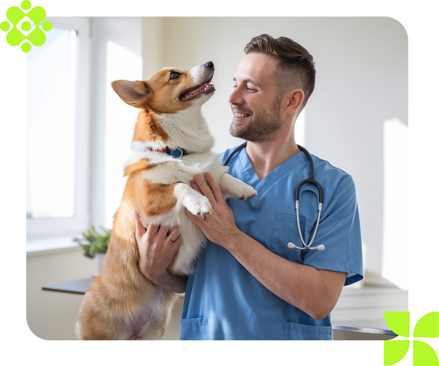 Veterinário segurando e sorrindo para um corgi marrom e branco em um consultório médico.