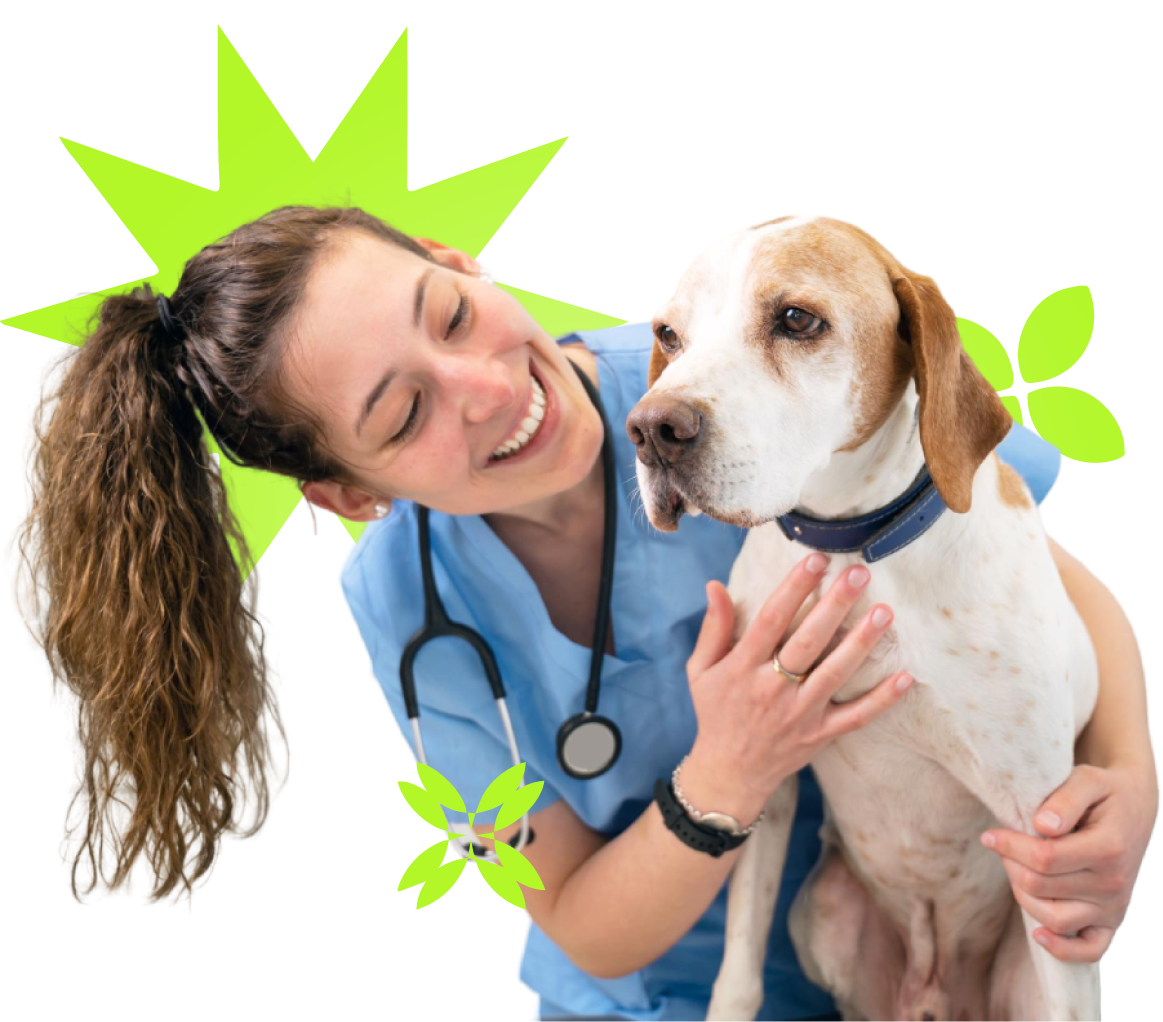 Veterinário de uniforme azul sorri enquanto segura um cachorro; detalhes em fundo verde.