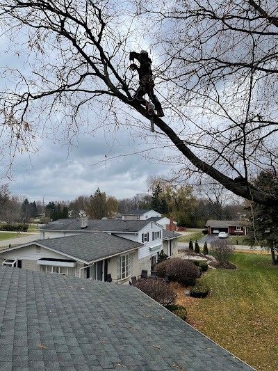 A man is climbing a tree branch in front of a house.