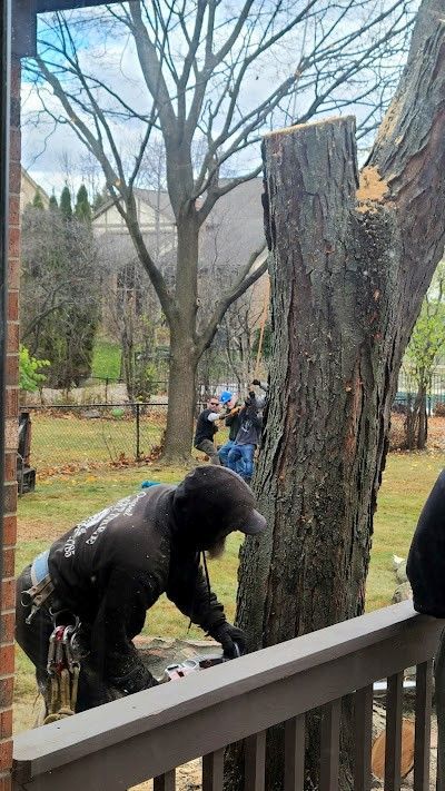 A man is cutting a tree stump with a chainsaw.