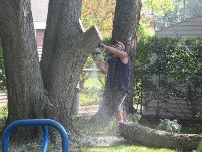 A man is cutting a tree with a chainsaw.