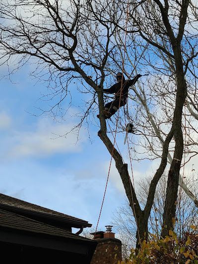 A man is cutting a tree branch with a chainsaw.