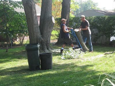 A pile of logs stacked on top of each other on a brick wall.
