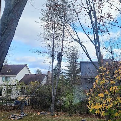 A man is cutting a tree branch with a chainsaw