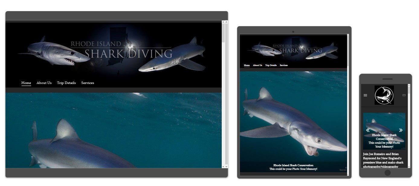 Rhode Island Shark Diving