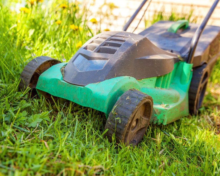 Lush Green Lawn with Mower in View  - Experienced Cleaner in Ballina