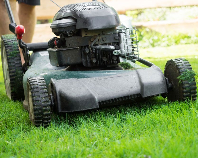 Meticulous Lawn Care Service Maintaining a Verdant Field - Comprehensive Cleaning Services in Ballina