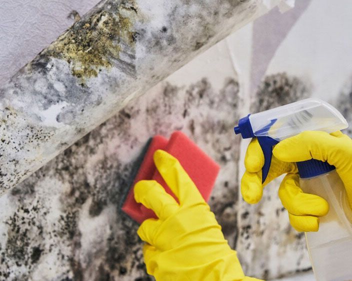 Meticulously Removing Mold on a Wall with Jacsimpson Cleaning Services - Expert Cleaner in Byron Bay