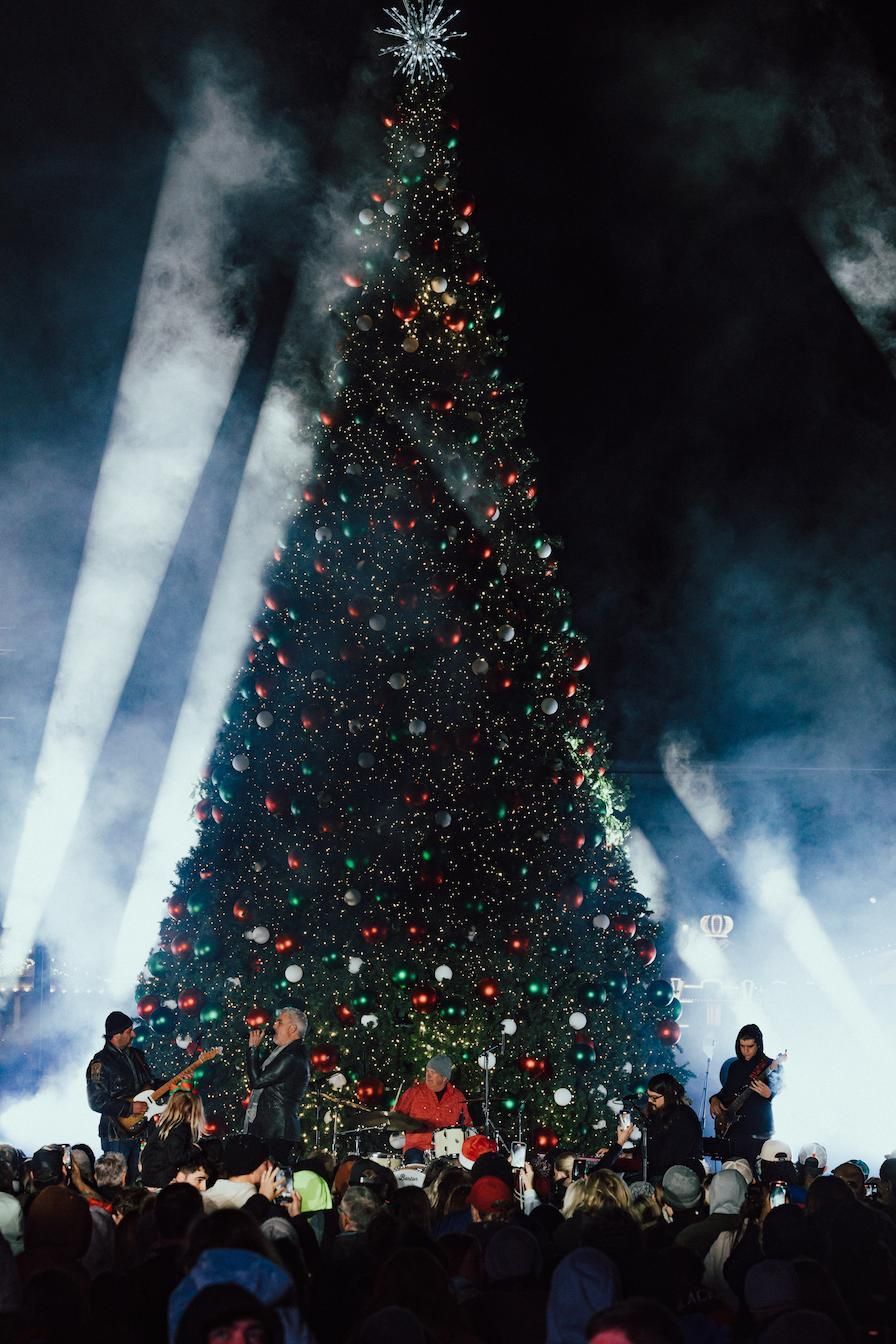 A christmas tree is lit up with blue lights at night.