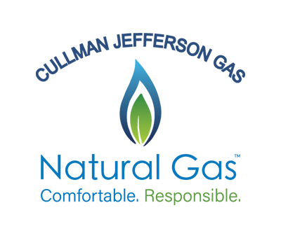 A logo for a company called natural gas