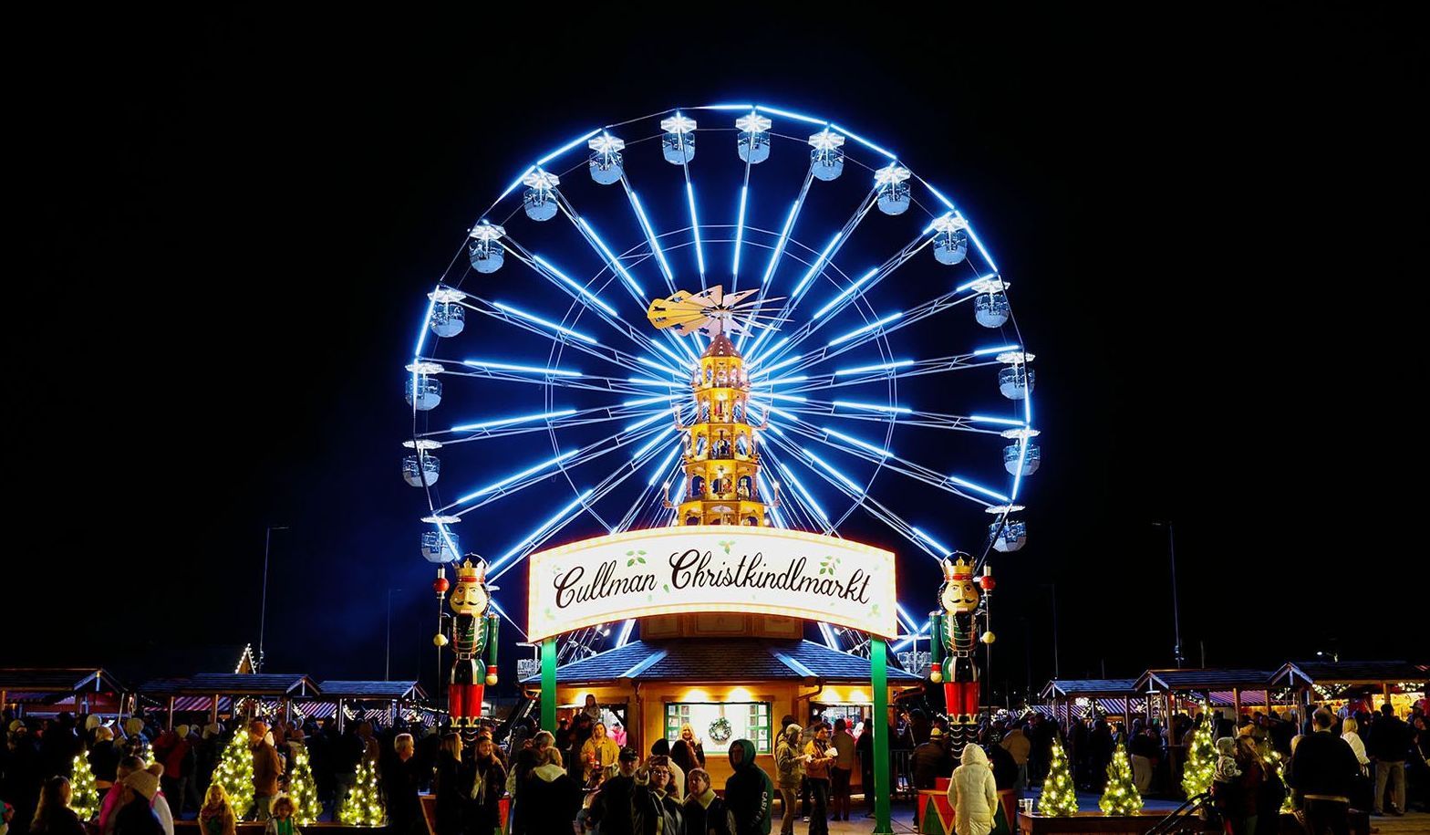 A group of people are standing in front of a ferris wheel at night.