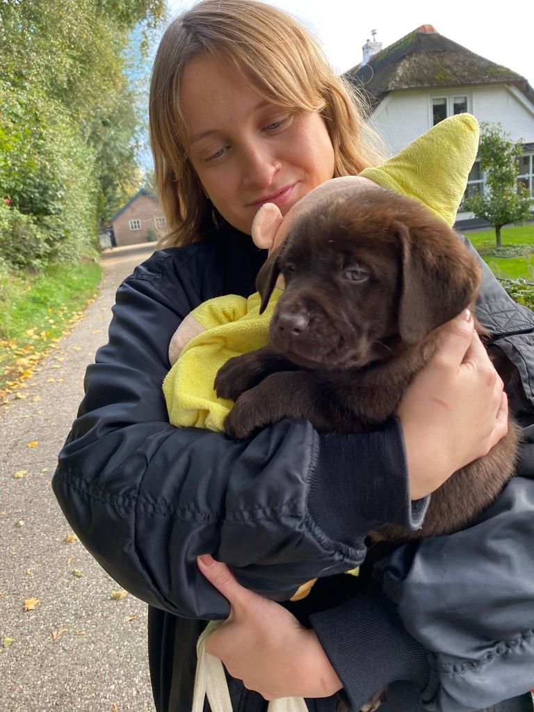 A woman is holding a brown puppy in her arms.