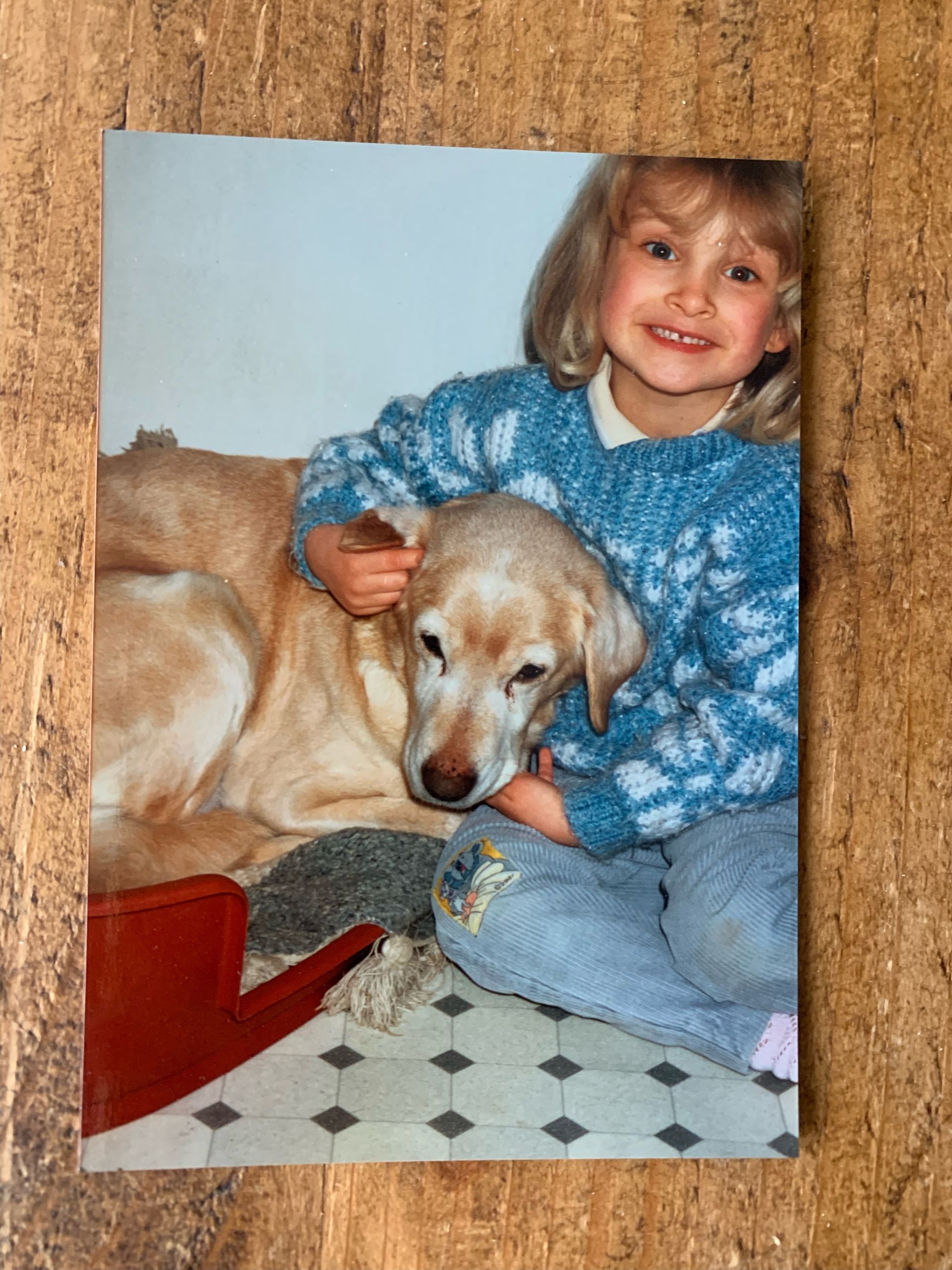 A little girl in a blue sweater is holding a dog