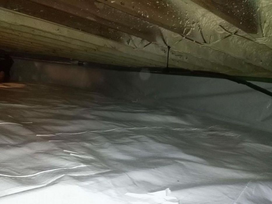 crawlspace 15