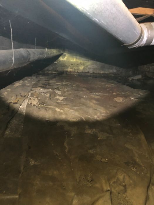 crawlspace 2