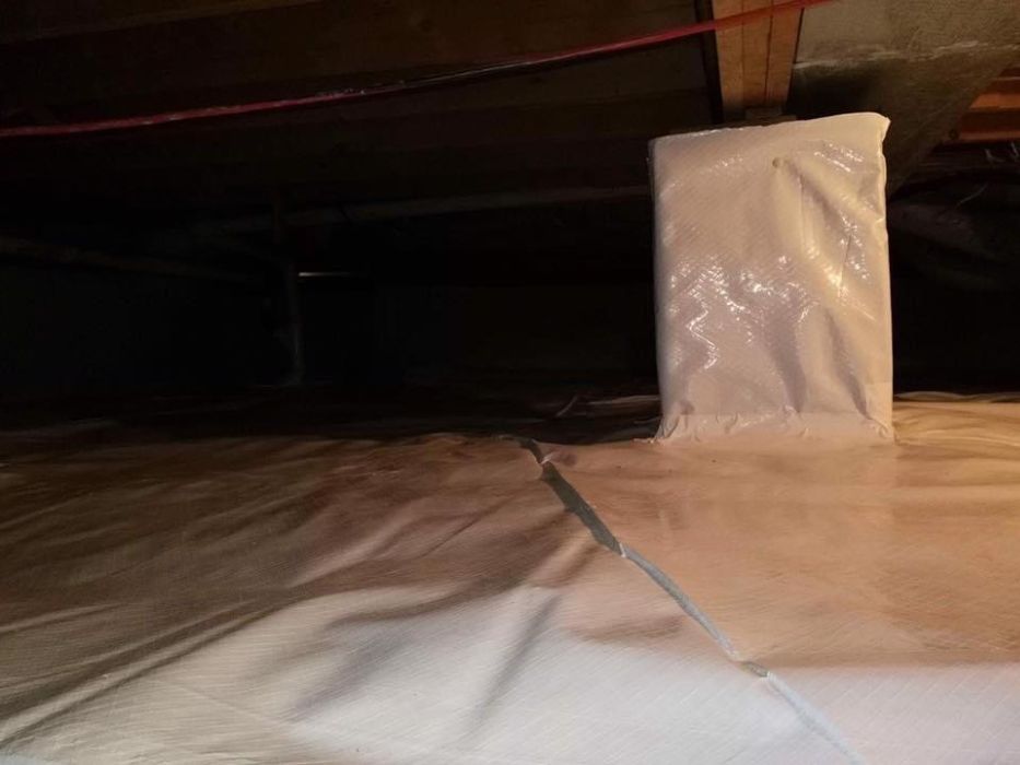 crawlspace 6