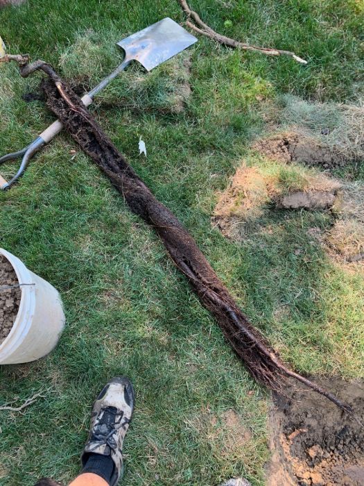 exterior drainage 16
