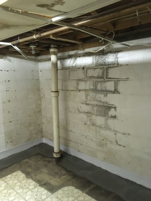 foundation repair 50