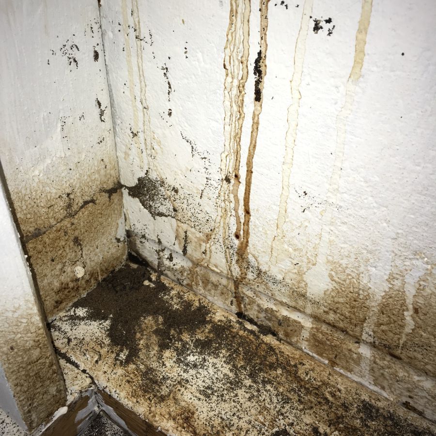 waterproofing services 24