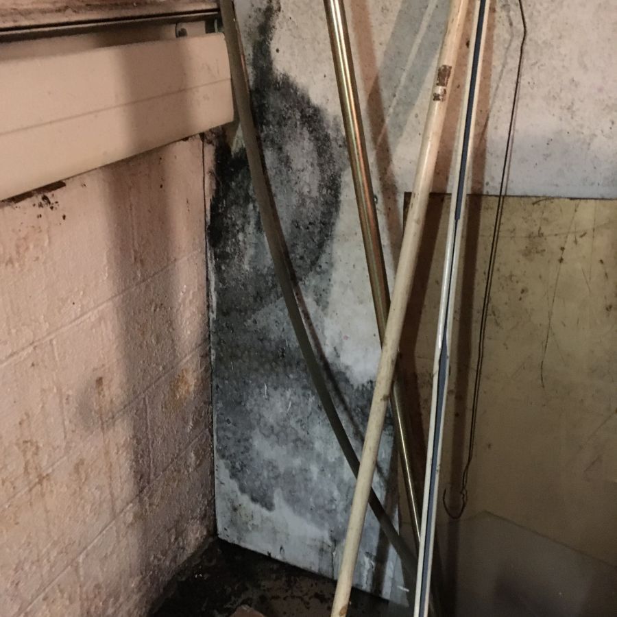 waterproofing services 28