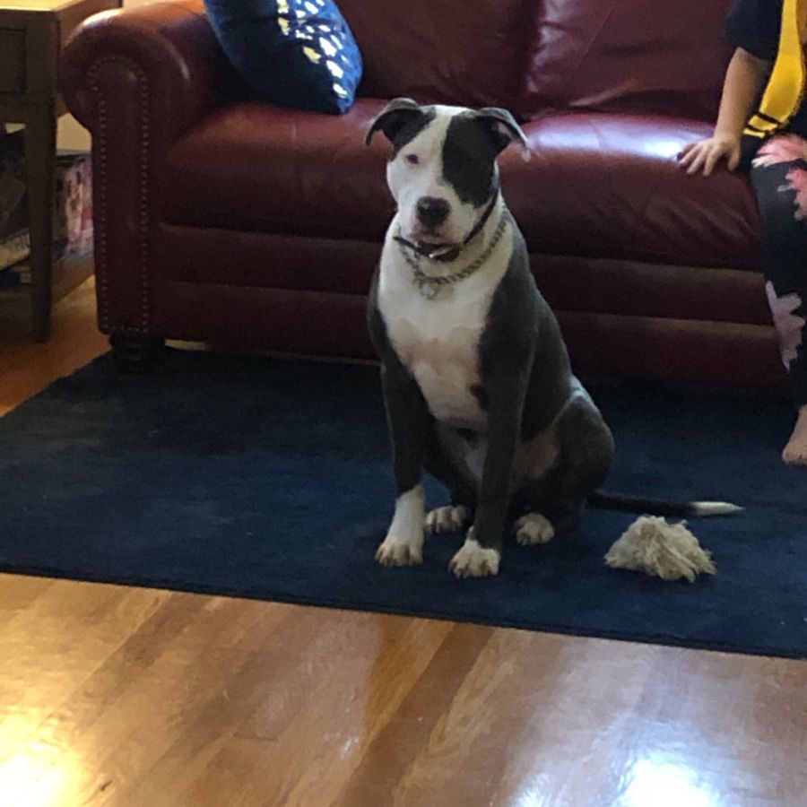 waterproofing services 30