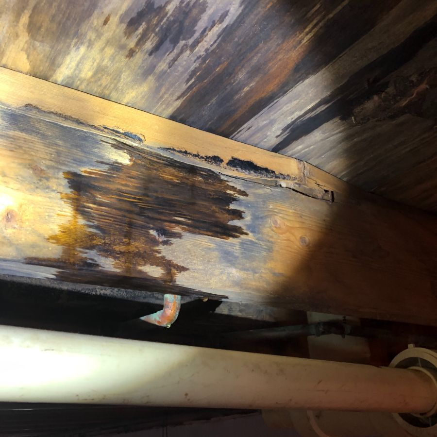 waterproofing services 35