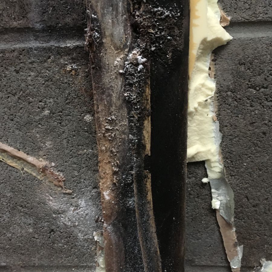 Basement before mold removal