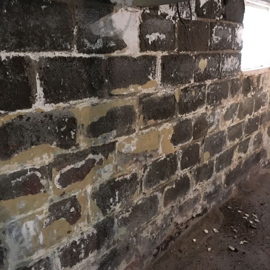 Damp basement walls in Erie, PA