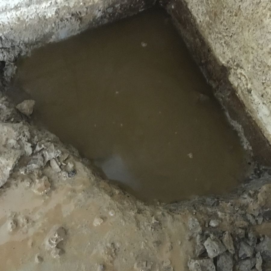 Puddle of water found in wet basement