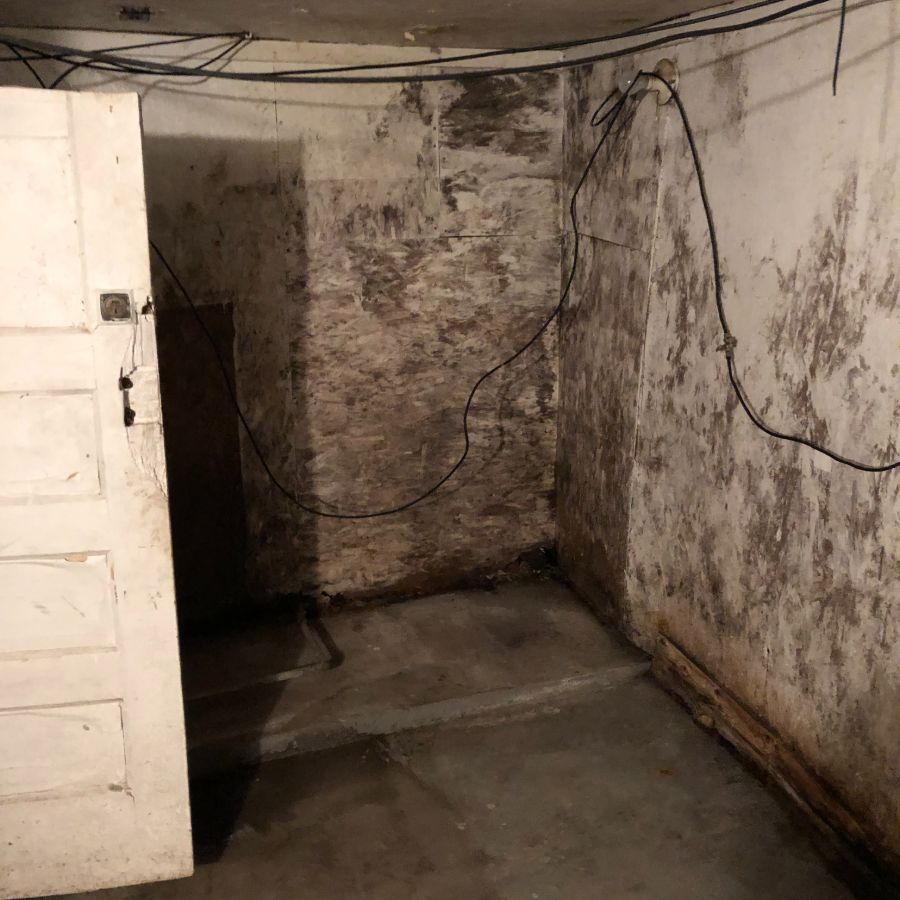 Basement before our mold removal service