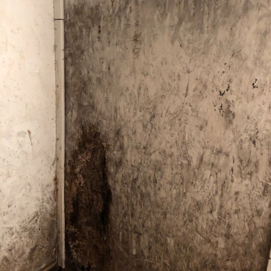 Patch of mold on wall