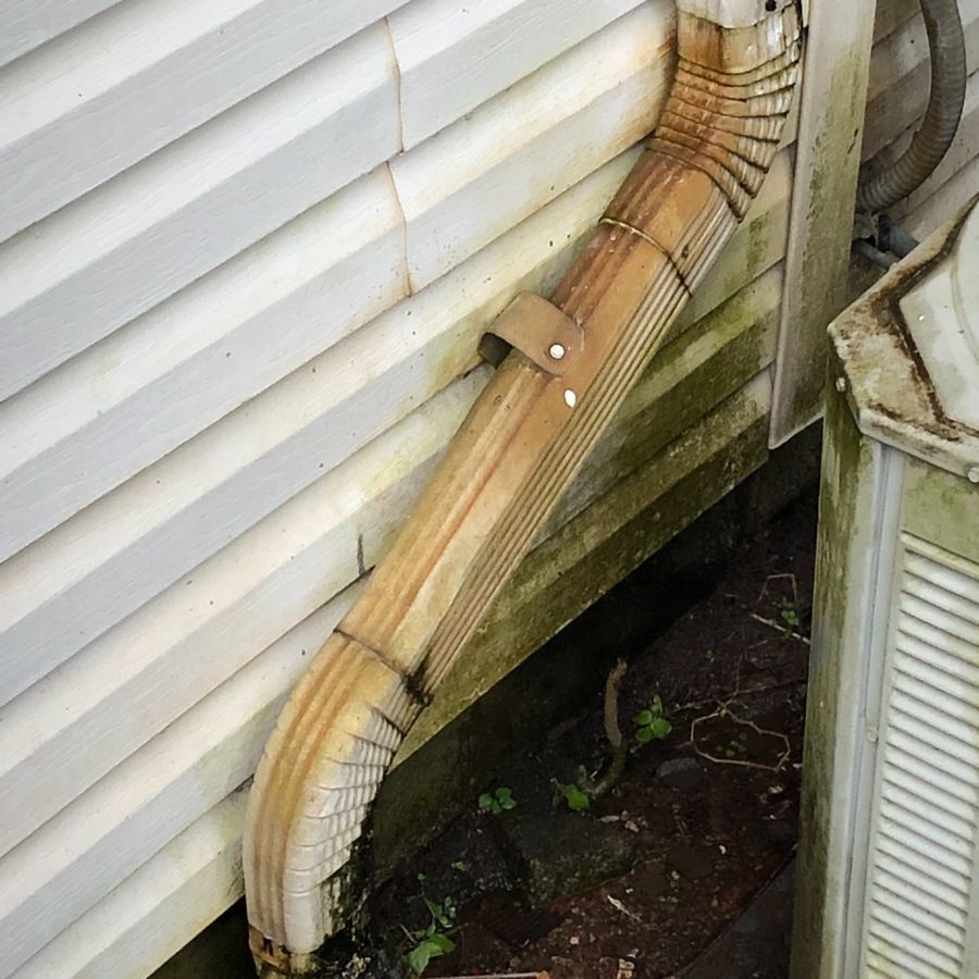 Foundation & siding on exterior of home in need of mold removal and waterproofing