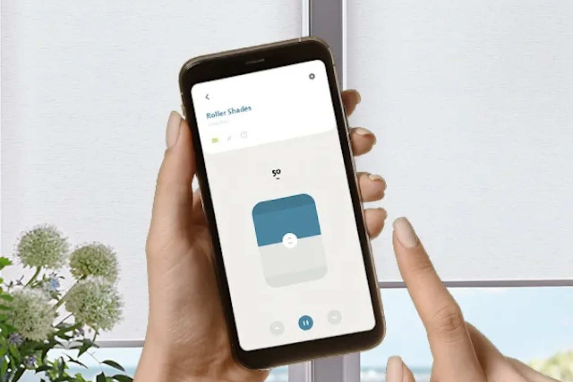A screened in porch with a view of a forest.