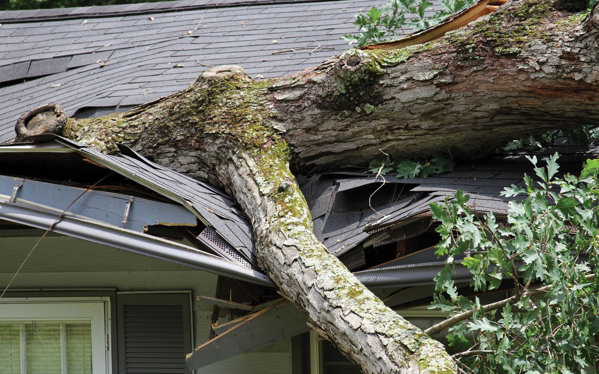 Broken Roof — Manheim, PA — Roof Ninja