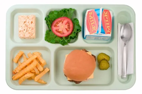 A school lunch tray with a hamburger french fries and milk