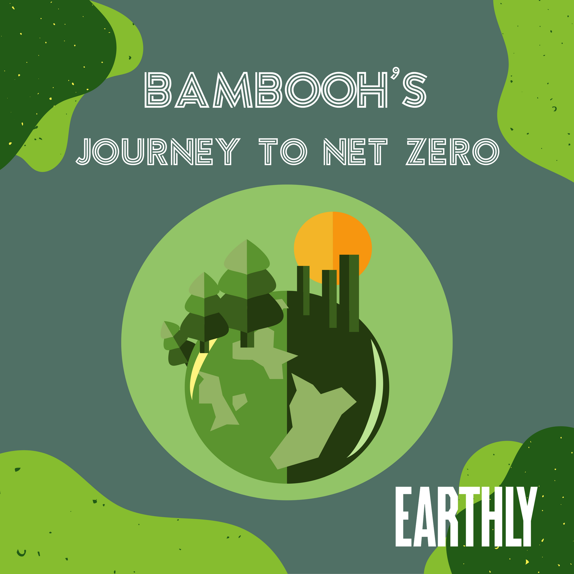 Bambooh's journey to net zero