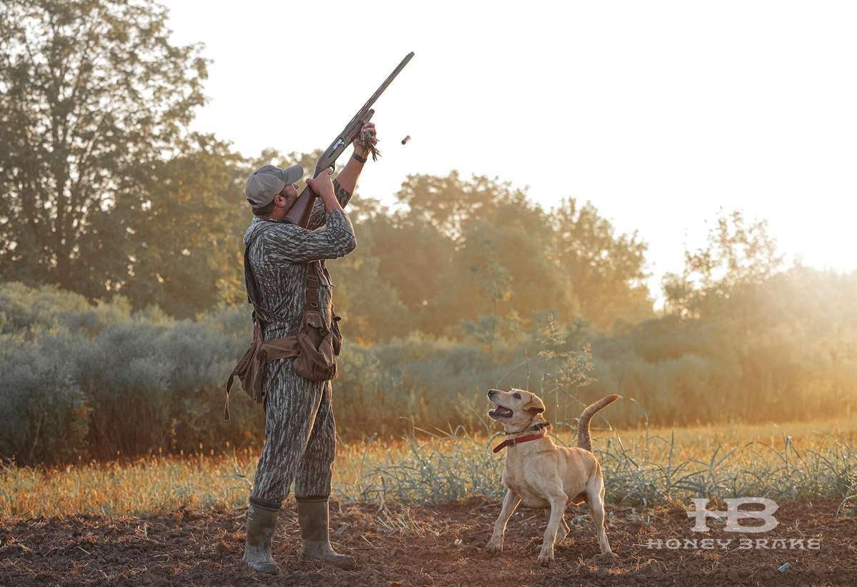Louisiana hunting lodge