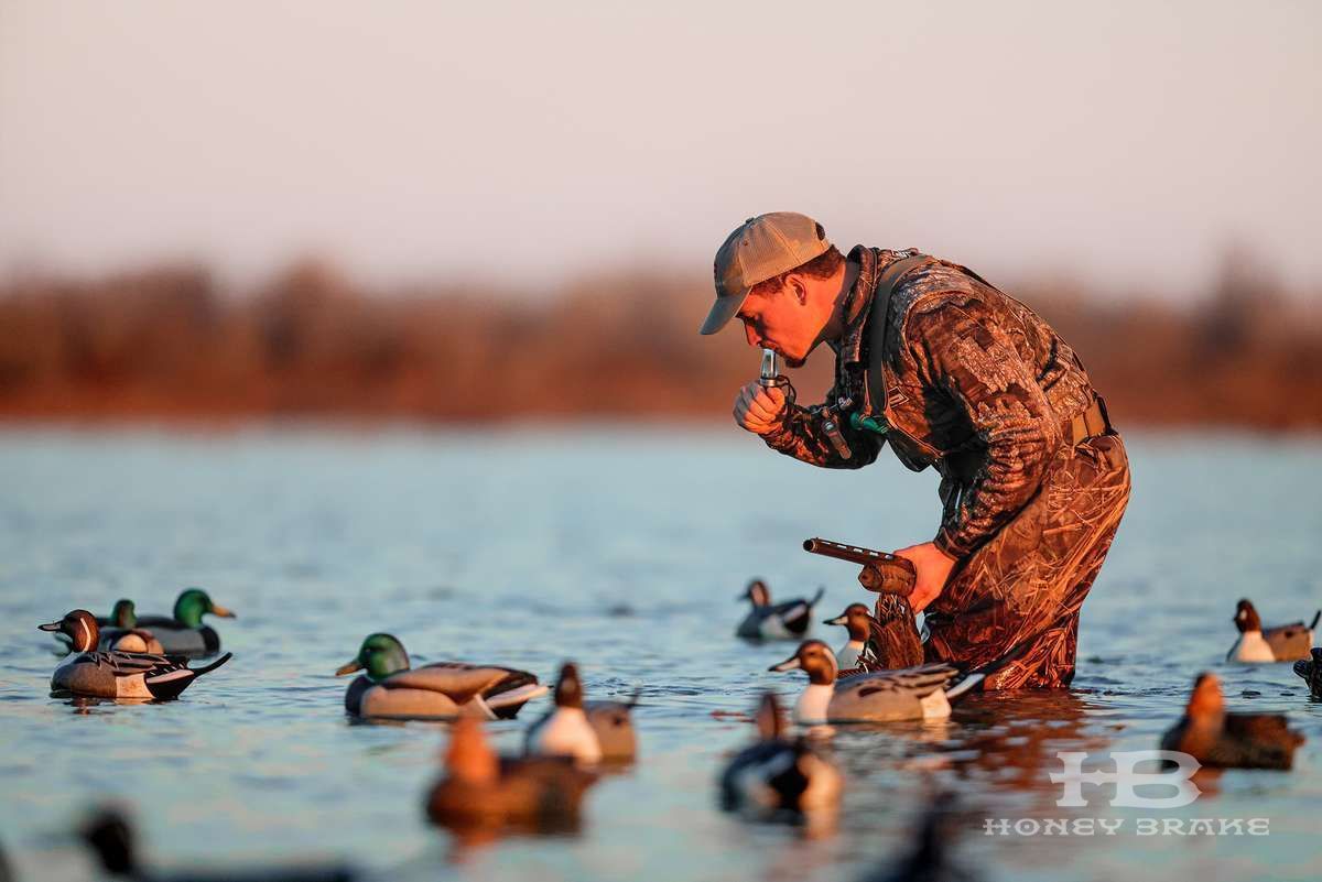 duck Louisiana hunting lodge