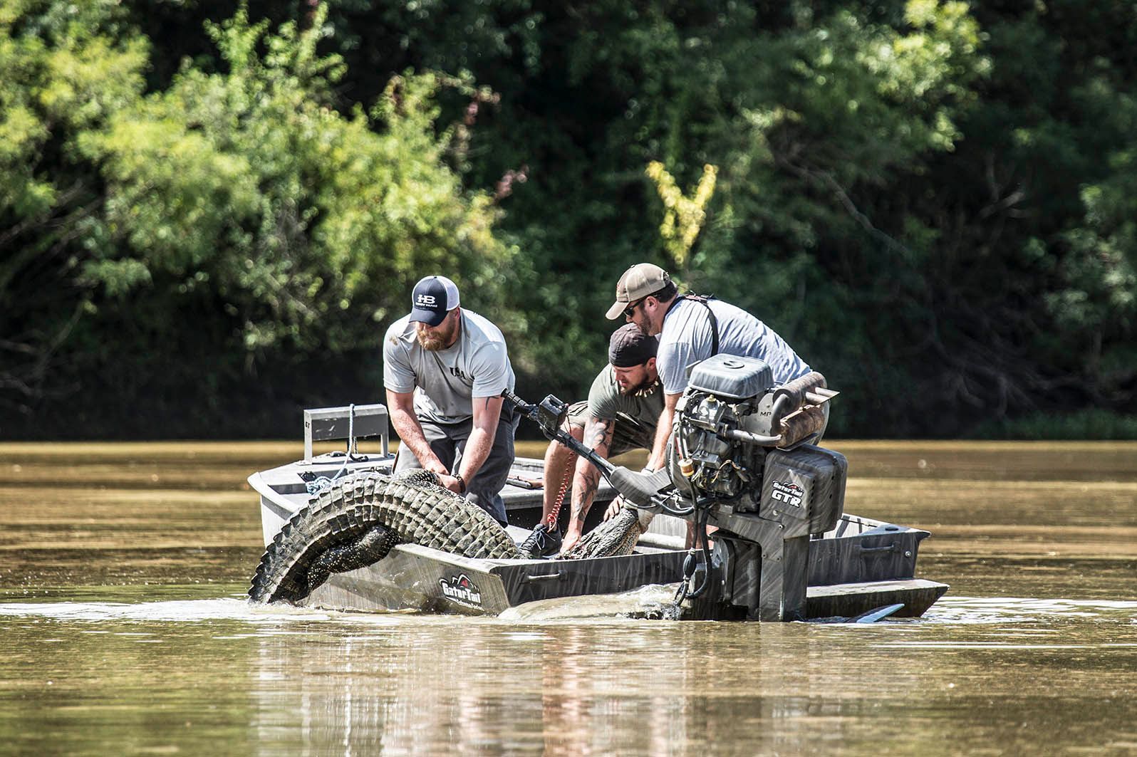 alligator Louisiana hunting lodge