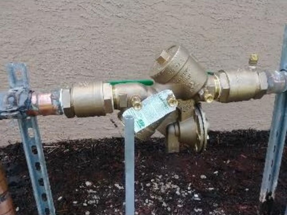 professionally installed backflow