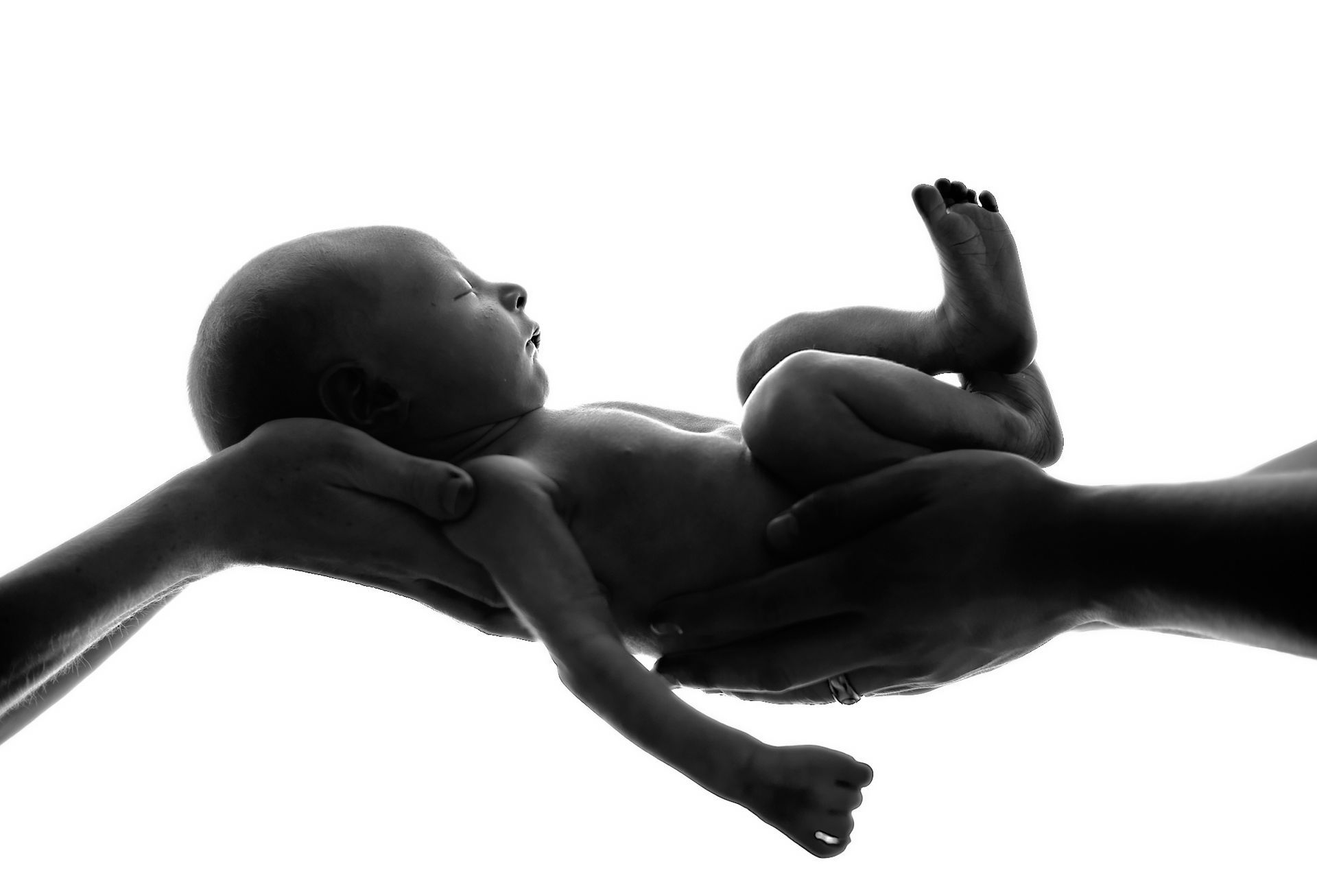 A silhouette of an infant being held gently in two hands against a bright, white background.
