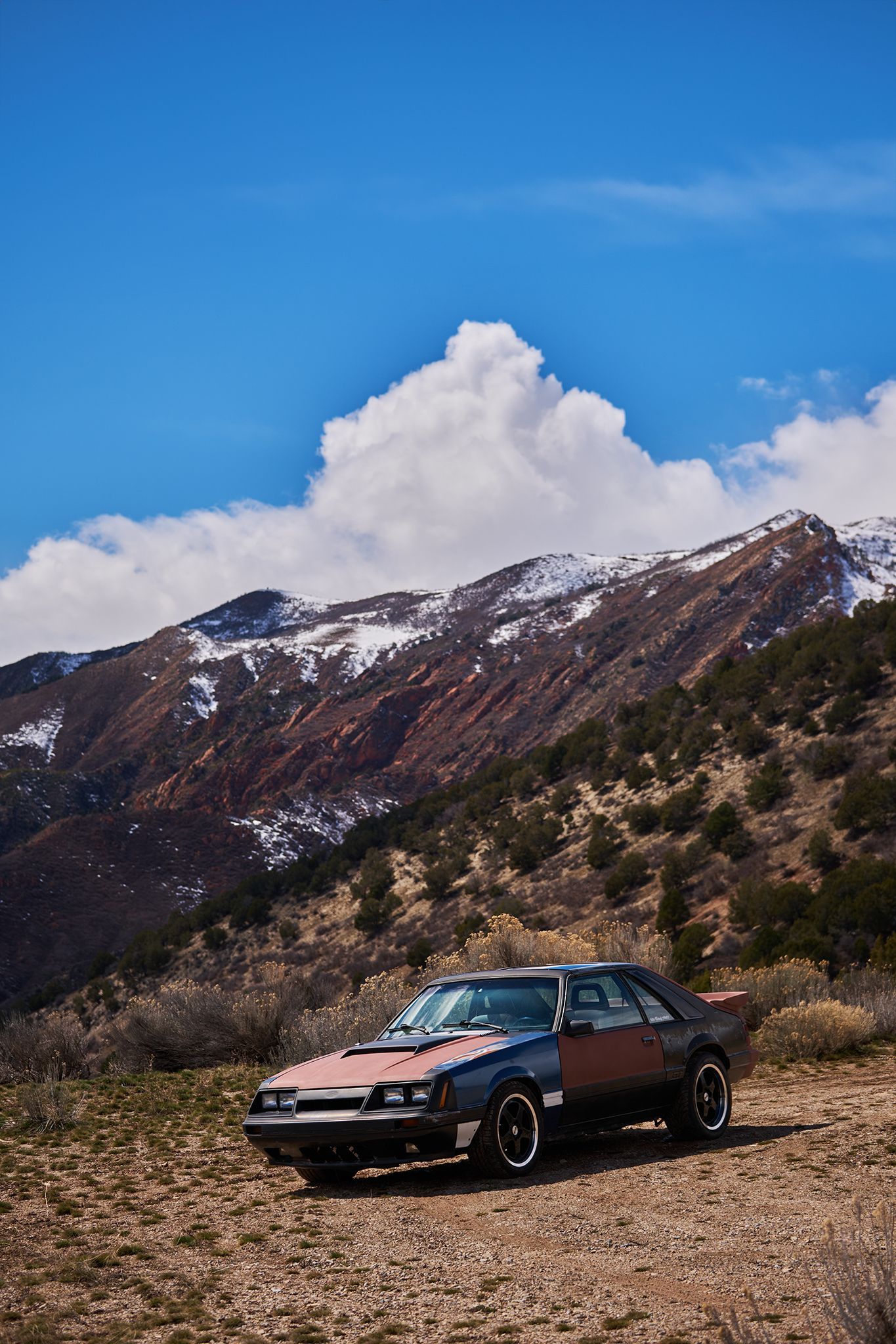 A dark, multi-colored Ford Mustang parked on a rocky desert trail beneath a snow-capped mountain range under a blue sky.