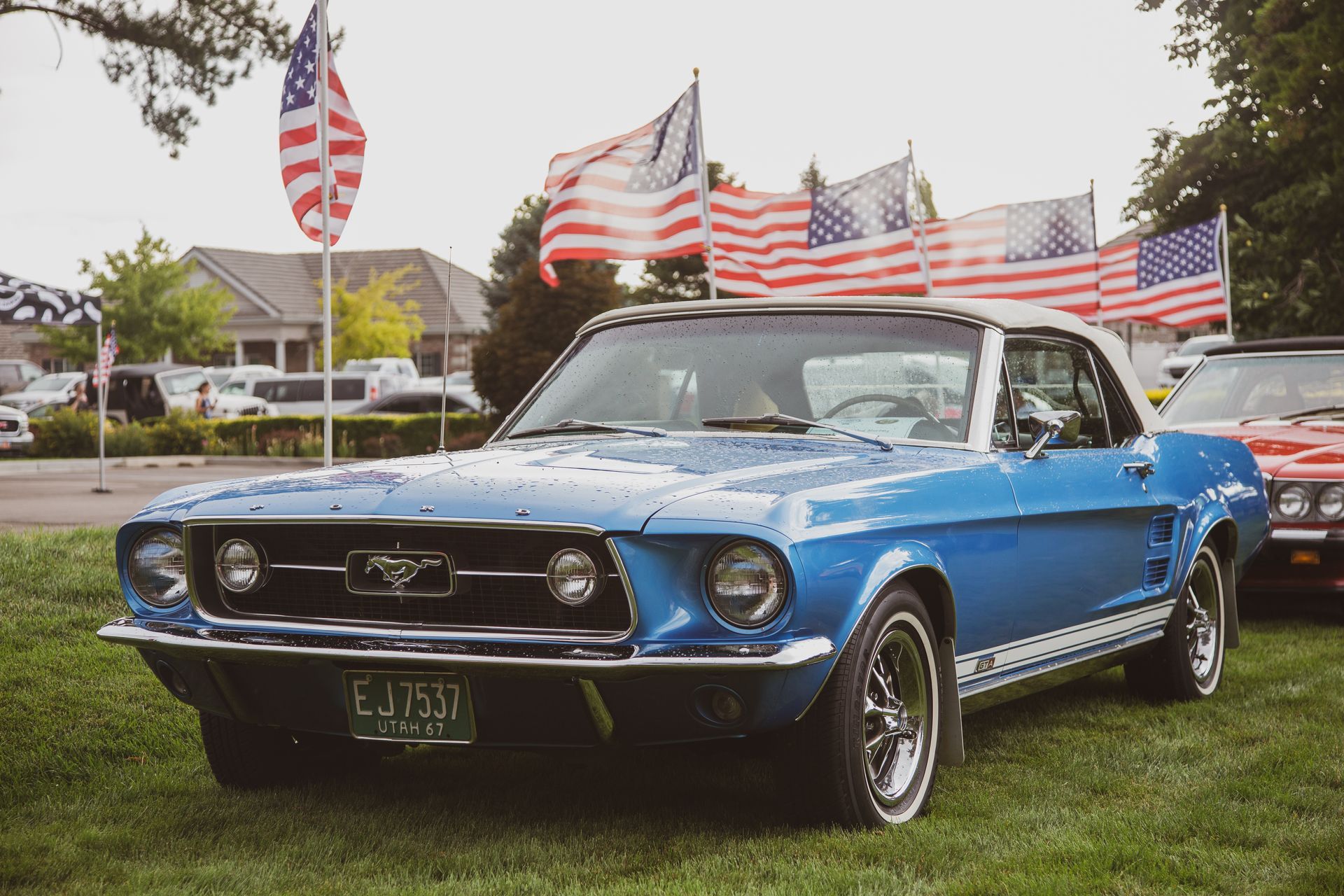 A blue vintage Ford Mustang convertible parked on a grassy field in front of a row of American flags.